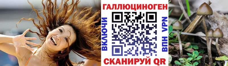 Галлюциногенные грибы GOLDEN TEACHER  маркетплейс как зайти  Воронеж  цены  