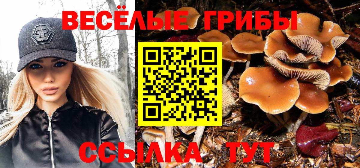 МЕФ  MDMA  LSD-25  СОЛЬ CK  ГАШИШ  Купить закладку  КОКАИН  Воронеж  Вход с VPN  МАРИХУАНА  NBOMe 